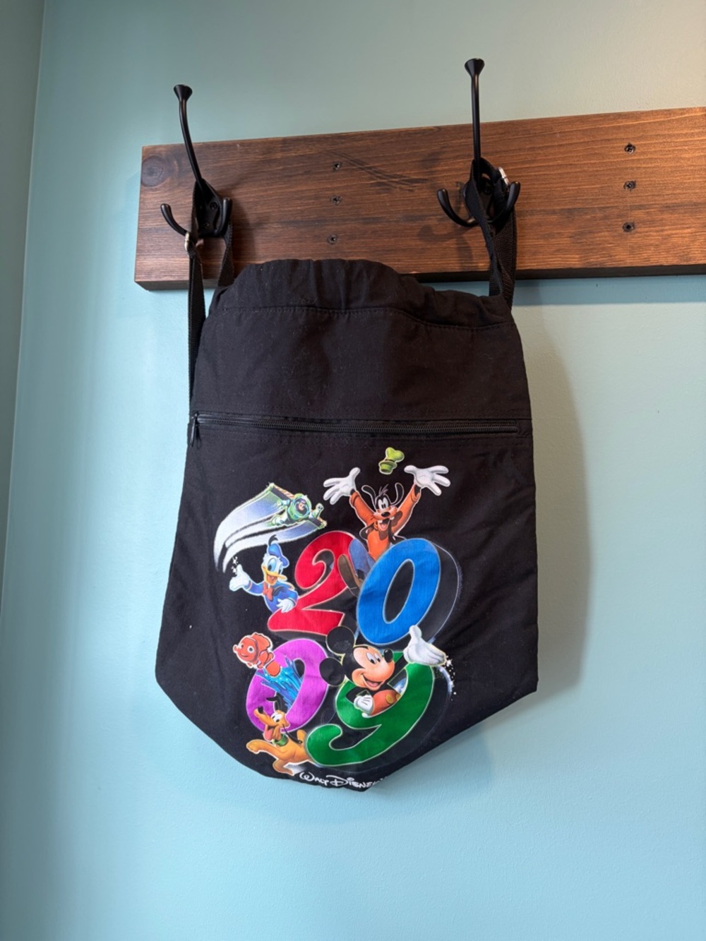 Disney Parks Backpack Bundle – 2009 & 2010 Walt Disney World Souvenir Bags - Picture 2 of 8